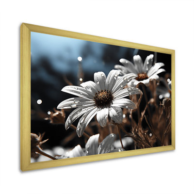 " Daisies Field Sunrise III "
