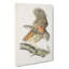Barred Owl by John James Audubon - Wrapped Canvas-55363670