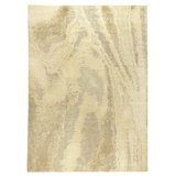 Shoreline Abstract Area Rug in Beige/Neutral/White