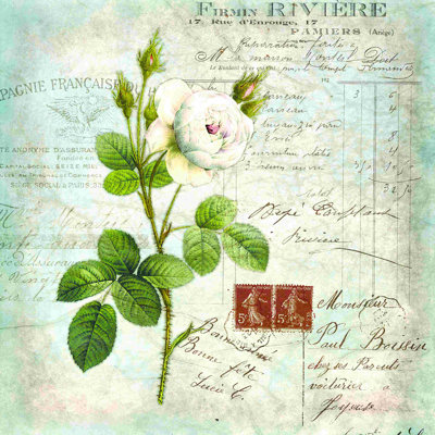 Postale botanique rétro 2