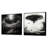 Minimalism Sci Fi Ufo - Fantasy & Sci-Fi Square Collage Set Of 2-1618902557-1618902558