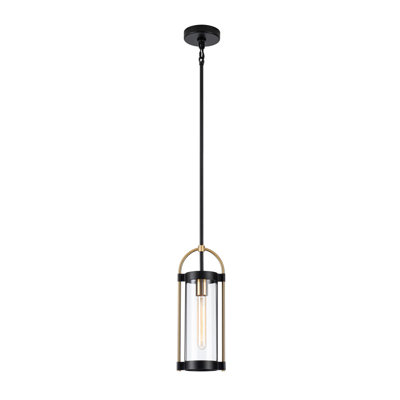 Bonita - Pendant - Black/Brushed Brass - 1-Light - 6"W