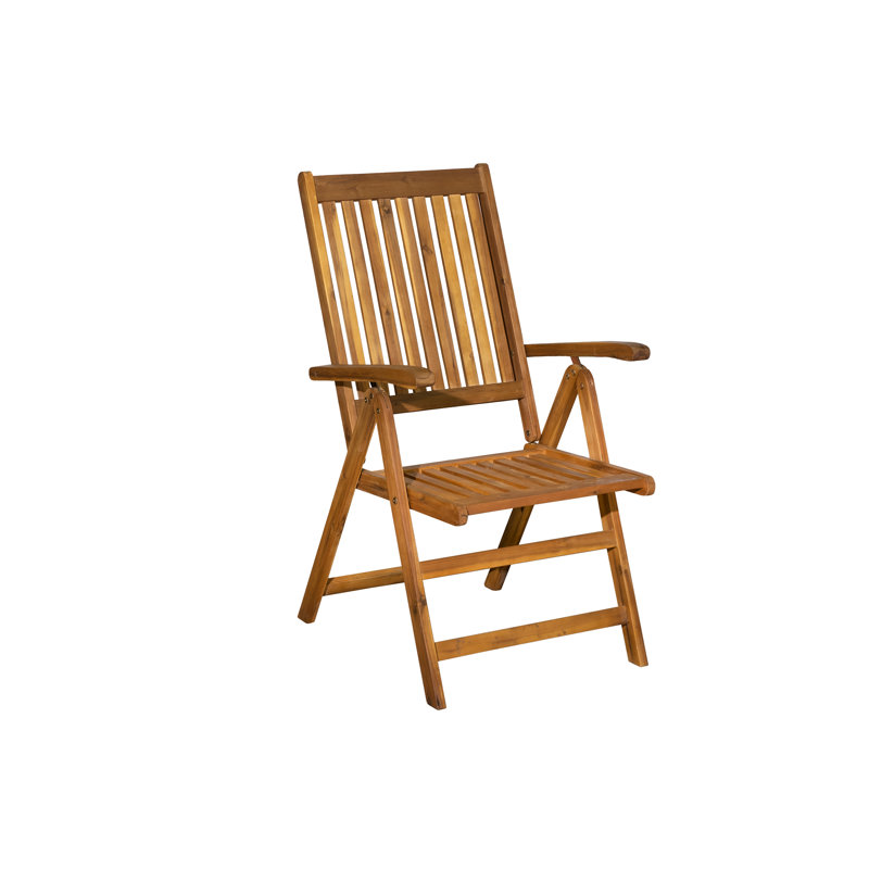 Bangor Foldable Outdoor Patio Dining Armchair with Cushion