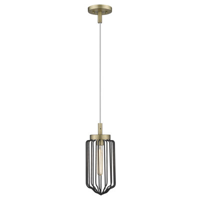 Luminaire suspendu 1 lumières simple urn Dariel