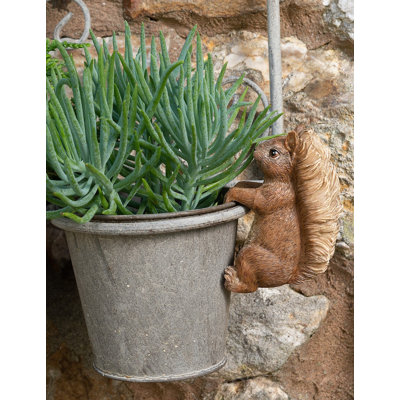 Cintre Beatrix Potter Squirrel Nutkin Pot