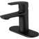 Single-Hole Single-handle Bathroom Faucet with Drain Assembly