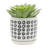 S/2 5/6" AZTEC PLANTER W/ SAUCER