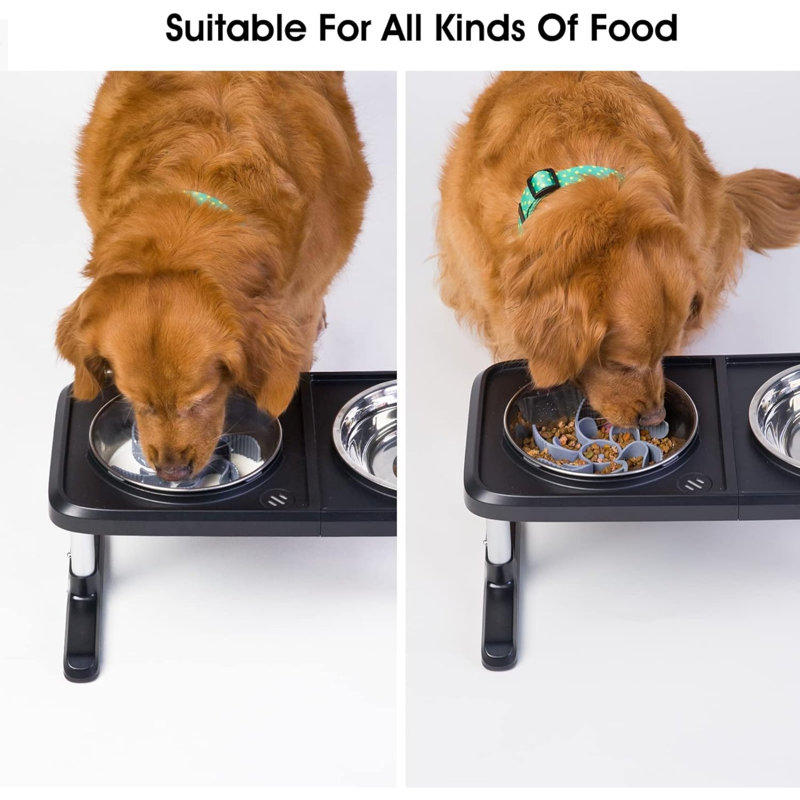 Slow Feeder