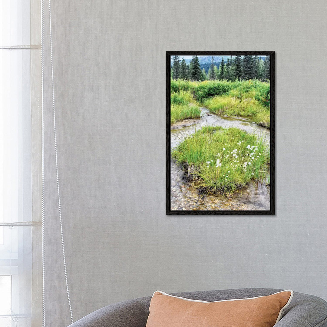 Alaska Marshland by Savanah Plank - Gallery-Wrapped Canvas Giclée on Canvas
