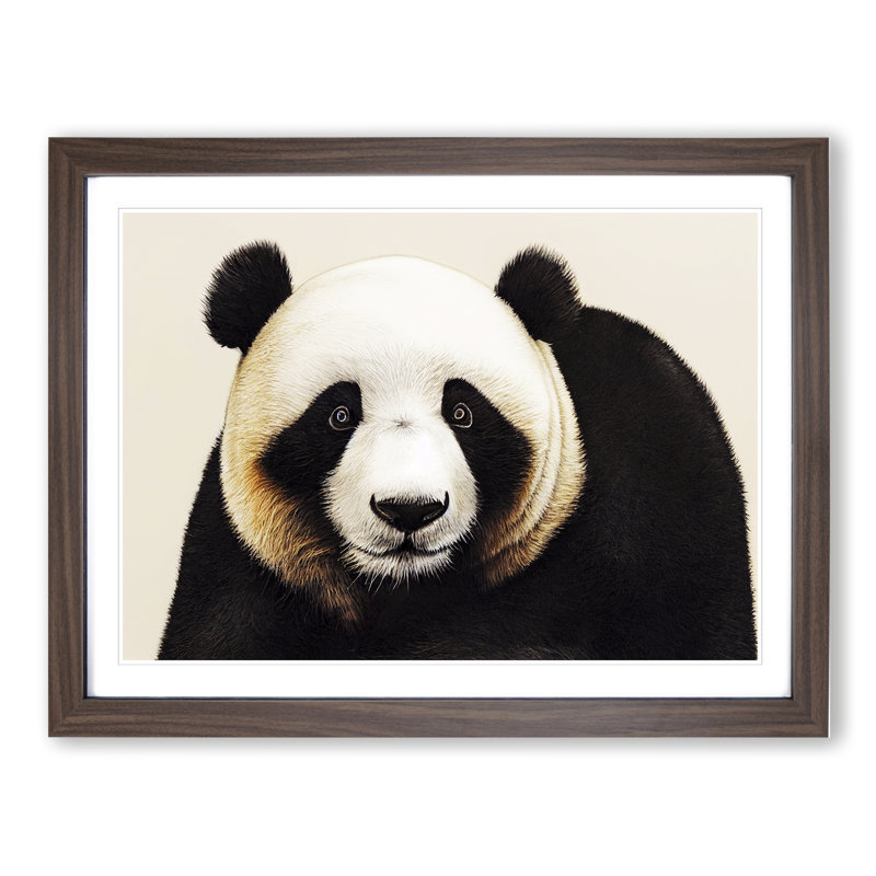 Fine Panda - Single Picture Frame Print, 46cm H x 64cm W x 2cm D, Walnut Framed