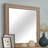 Cane Mirror