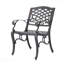 Ensemble de fauteuils de patio 2 pièces-33121279
