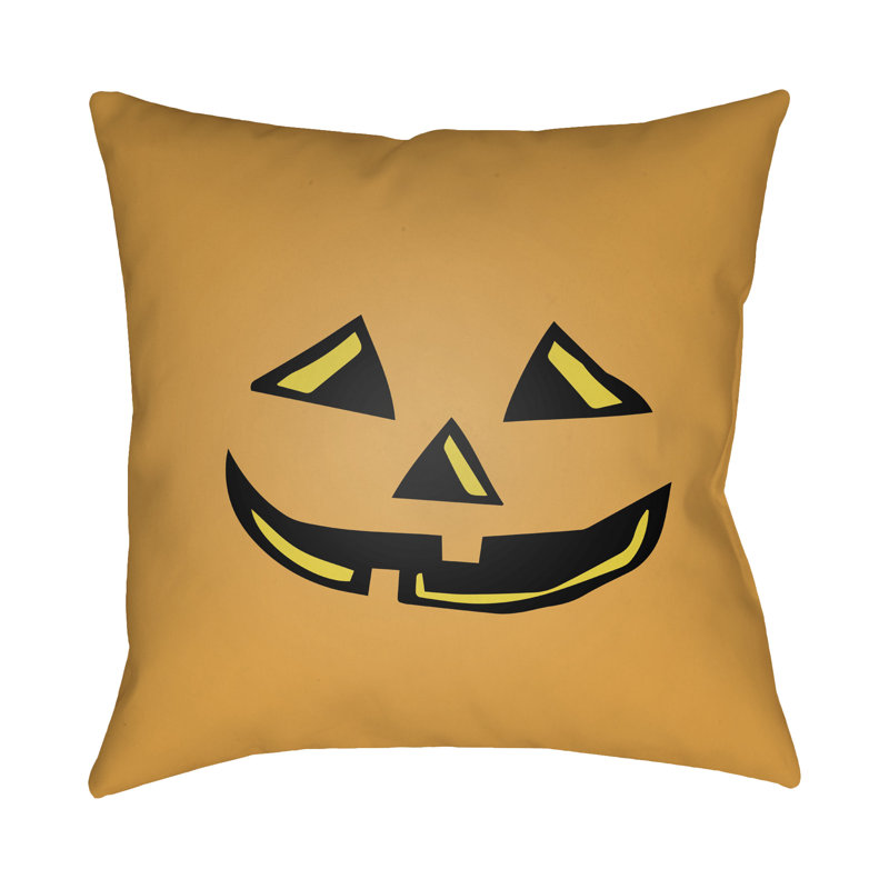  Indoor/Outdoor Throw Pillow, 20" H x 20" W x 4" D, Orange
