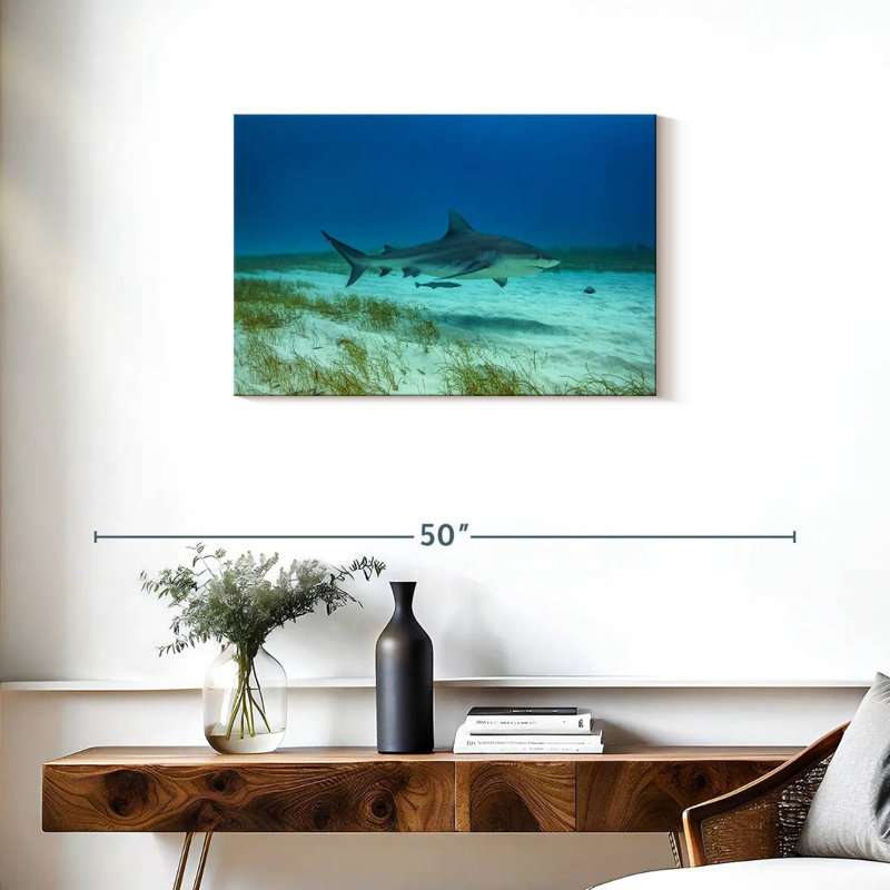 Brampt Bull Shark Habitat, 20" H x 30" W