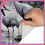 Tapis de bain Cranes In Watercolor-1345862520