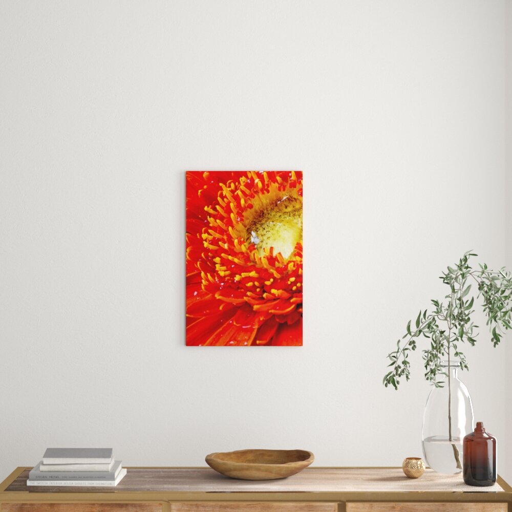 Leinwandbild Red Flower Gerbera Sunshine Gras Blumen, Fotodruck