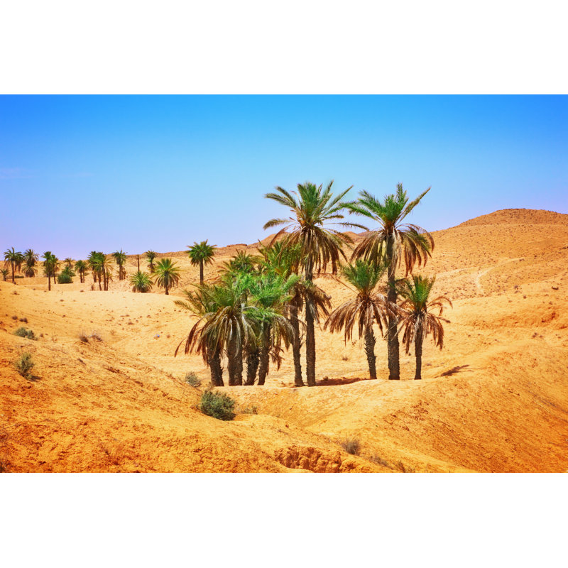Thetford Sahara Desert - Wrapped Canvas Print, 30cm H x 46cm W x 3.8cm D