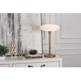 Ovo Metal Novelty Lamp