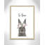 Le lapin est courage-48163495-48169698