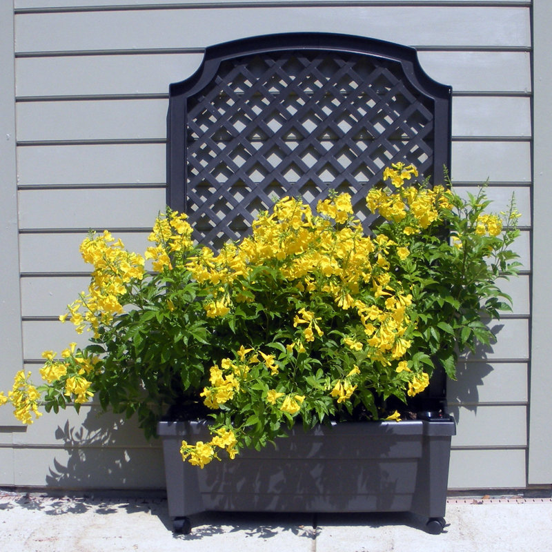 Brandun Planter Box with Trellis, Anthracite