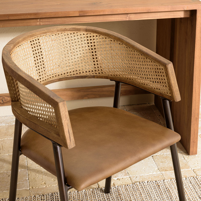 Alphon 48cm H Upholstered Armchair in Brown