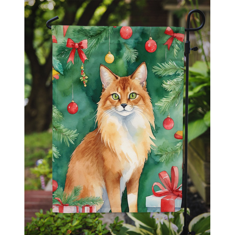 Drapeau de jardin Pixie Bob, Somali