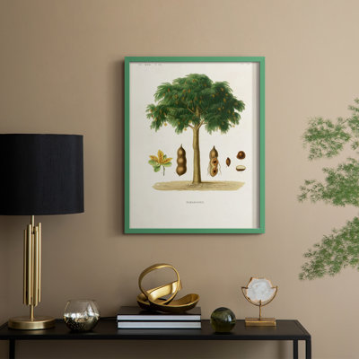 Arbre antique avec fruit, impression encadrée en bois massif