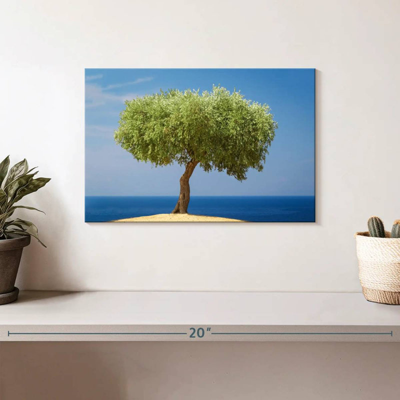 Harnek Single Olive Tree, 8" H x 12" W