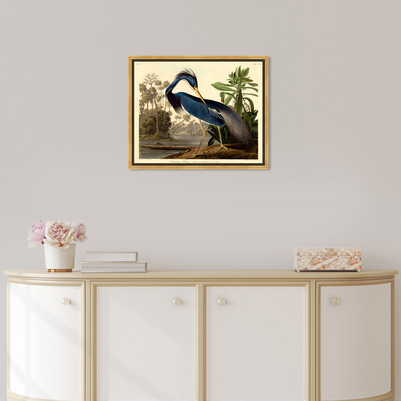 " Louisiana Heron ", Picture Framed Canvas, 30" H x 36" W, Gold