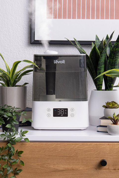 Shop Humidifiers