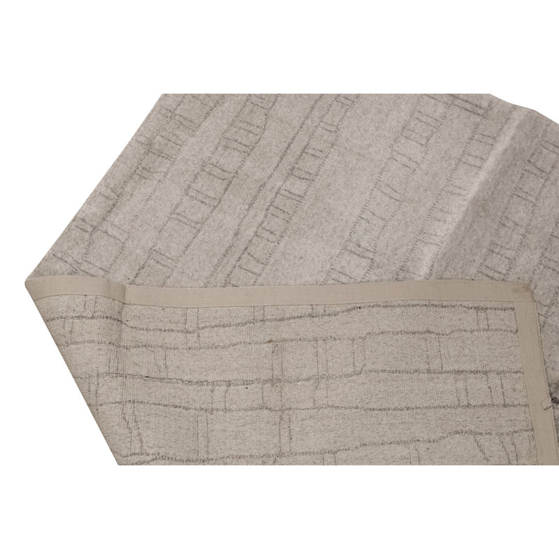 Hand Knotted Area Rug in Taupe