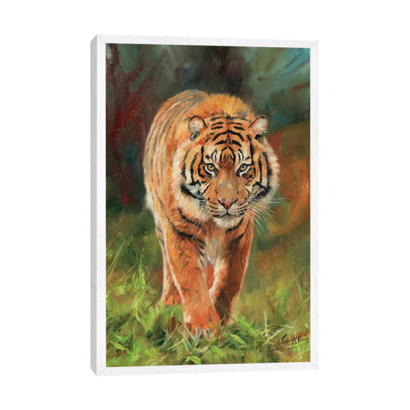 Amur Tiger by David Stribbling - Gallery-Wrapped Canvas Giclée on Canvas, 66.04 cm H x 45.72 cm W, White Framed