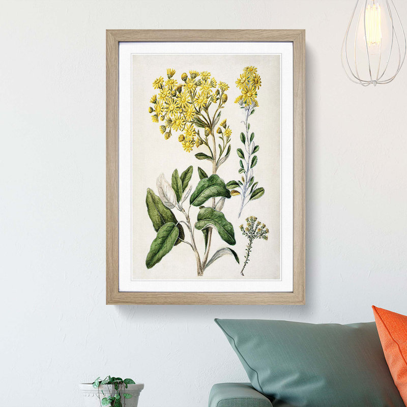 Daisy Brachyglottis Flowers by Sarah Featon - Picture Frame Painting Print, 65cm H x 48cm W x 2cm D, Oak Framed