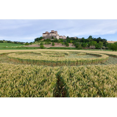 Italian Crop Circle by Teslamax - Wrapped Canvas Print