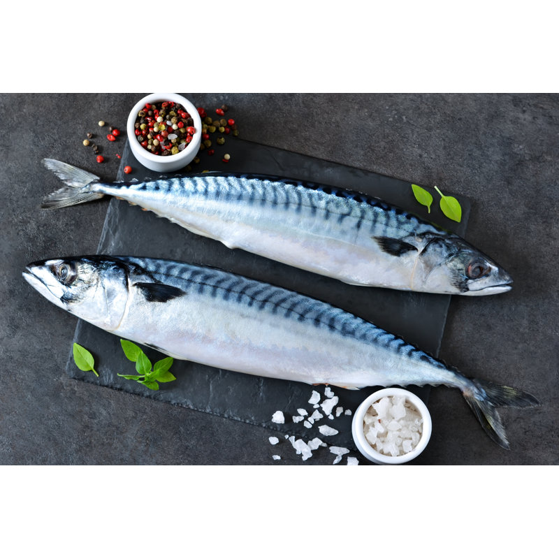 Raw Mackerel by Zefirchik06 - Wrapped Canvas Print, 51cm H x 76cm W x 3.8cm D