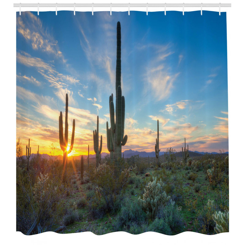 Ensemble de rideau de douche et crochets saguaro, H 70 po x l 69 po
