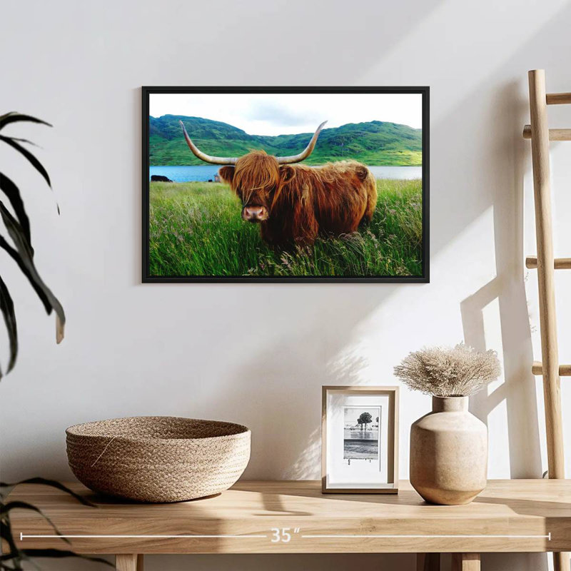 Brampt Fluffy Highland Cow, H 13 po x l 19 po