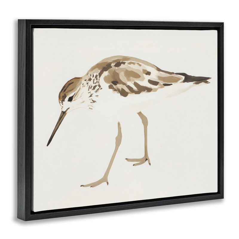 Cadre flottant Sandpiper Shore Bird, Cadre flottant noir de jais, H 17 po x l 21 po