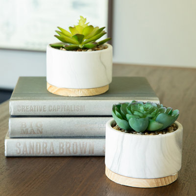 Plante succulente de bureau en marbre / bois 2 pièces en pot