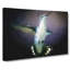Hummingbird Bird In Flight In Abstract - Wrapped Canvas-55311842
