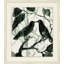 Nature's Harmony 2 Print