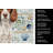 Liver and White English Springer Spaniel Coastal Sea Glass Kitchen Towel-871464083