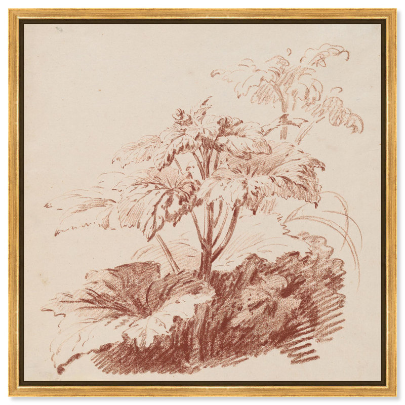 «Red Chalk Plant I», reproduction d'art sur toile par Art Remedy, H 40 po x l 40 po, Structure noire