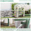 Outsunny 2,5 pi. L 4,5 pi. D Hobby Greenhouse