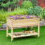 Wood Elevated Planter