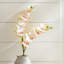 28-Inch Phalaenopsis Orchid Stem-966456597