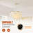 6-Light Dimmable Capiz Shell Chandelier