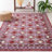 Hand Tufted Wool/Cotton Oriental Rug in Red/Pink-1607903429