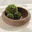 Wren Hill Handmade Rattan Decorative Bowl