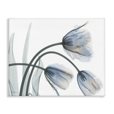 Trendy Mod Tulips Canvas, design by Albert Koetsier